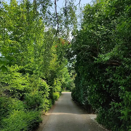 Appartementhaus Rosengarten - A6